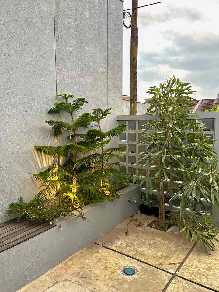 Kami punya beberapa spot favorit di rumah M&A. Halaman depan rumah jadi tempat favorit untuk bersantai di pagi ataupun sore hari. Anak-anak juga bisa bebas bermain di halaman yang minimalis, tapi cukup untuk mereka bermain. 

Di dalam rumah, meja makan kami juga bisa difungsikan sebagai meja kerja/meja belajar. Posisinya yang juga dekat dengan halaman belakang memberikan sirkulasi dari ke bagian dapur. Selain itu, sudut ruang tamu kami juga menjadi alternatif tempat bersantai, bekerja, atau sekedar membaca buku. 😊✨
#HalamanRumah #DindingEkspos #TamanMinimalis #CemaraNorfolk #LampuSorot #MomenDiRumah #InspirasiDekorasi #RuanganFavorit #DapurMinimalis #SudutRumahFavorit