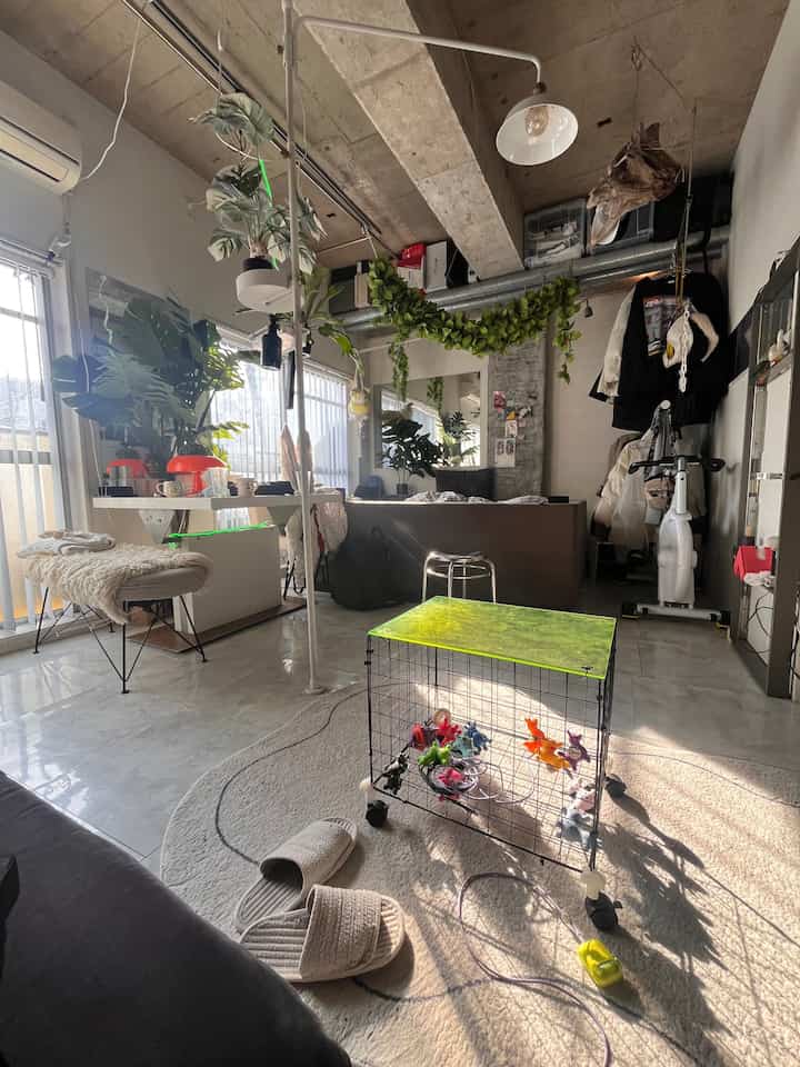 白い壁と茶色のソファがあるワンルームのリビング、植物とスツールが配置された自然な雰囲気の空間