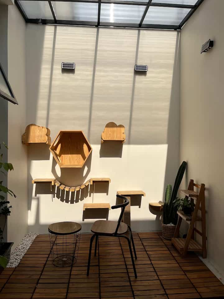 Berkebun semi indoor, wajib banget sinar matahari tetap masuk, kita pake canopy transparan biar sinar matahari tetap masuk.
Malam hari tempat ini bisa untuk duduk duduk sekedar minum kopi, kami menggunakan lampu sonar biar tetap hemat energy. #catplayground #tamandalamrumah #tamansemiindoor #semiindoorgarden #indoorgarden #deckinglantai