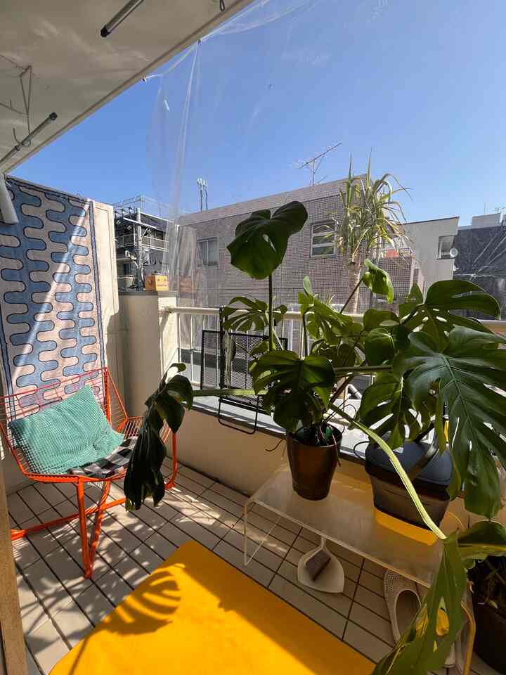 This is Sabuaka. It was summer this weekend, so I was sunbathing on the balcony. With the plants too.

The monster monstera has grown to look like Yamata no Orochi compared to when I bought it a year ago...

#Rental #賃貸インテリア #ワンルーム #観葉植物 #バルコニー #信じられないIKEA率 #IKEA #リノベーション