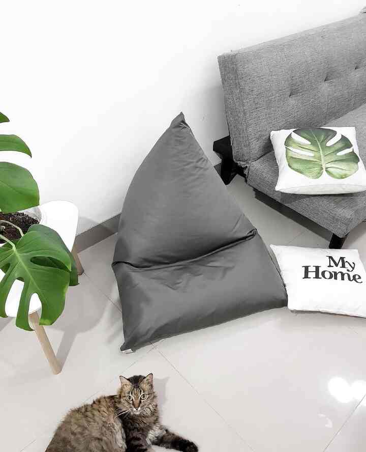 Gray-toned living room featuring a large bean bag, gray sofa, plant, and a cat creating a cozy atmosphere