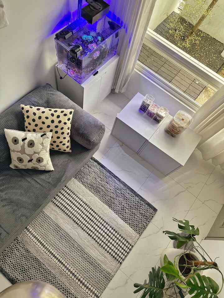 Gray sofa and monotone carpet in white and gray toned living room with transparent glass containers and plants, creating a simple harmonious space