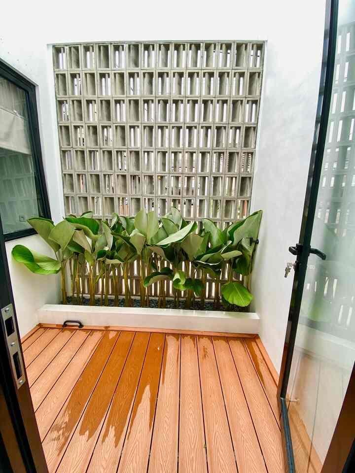 Ternyata hanya dengan 1 jenis tanaman saja bisa juga loh buat inner courtyard ini terlihat lebih estetik.
Calathea lutea menjadi pilihan kami karena selain looksnya yang menarik dan cocok dipadukan dengan roster, maintenance nya juga sangat mudah.

#TamanDalamRumah #InnerCourtyard #InspirasiTaman #WarnaCatRumah #TanamanHias #TamanTerbuka