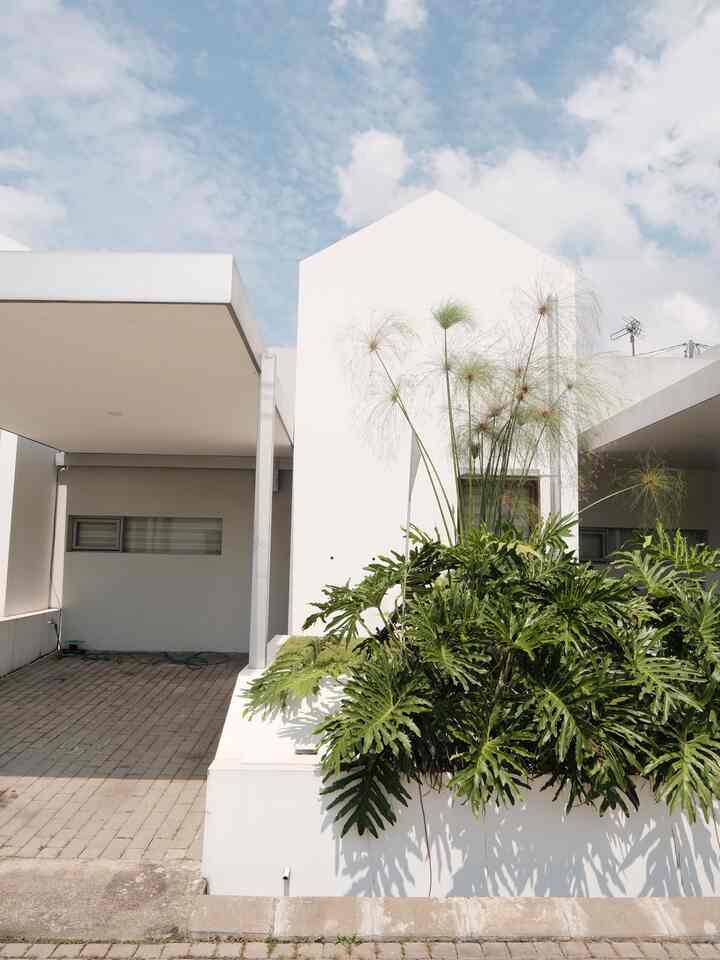 Fasad Scandinavian
—
Fasad rumah ini menerapkan konsep scandinavian :
1. Warna netral🤍
Fasad didominasi warna putih dan abu-abu muda untuk memunculkan kesan minimalis.
2. Bentuk sederhana🏠
Bentuk yang dipilih adalah bentuk dasar rumah dengan jenis atap pelana berbentuk segitiga.
3. Pencahayaan alami☀️
Terdapat bukaan ventilasi agar sinar matahari dan pencahayaan alami bisa masuk ke dalam ruangan.
4. Tanaman Hijau🍃
Area fasad dihiasi dengan tanaman hijau agar suasana semakin segar dan tidak terkesan gersang. 

#papyrusplant #philodendron #catsilver #scandinavianfacade #scandinavianstyle #rumahminimalis #facadestyling #facadeinspo
