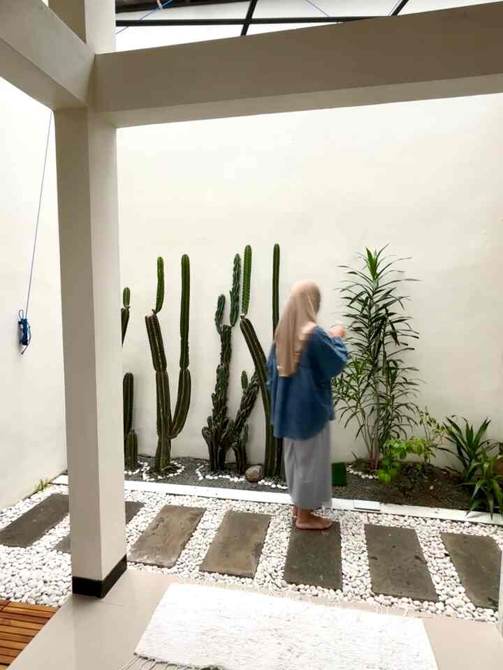 taman kering ini berada di dalam rumah bagian belakang, panjang sekitar 4,5 meter dan lebar 50cm✨🌵
Kita memilih tanaman kaktus agar low maintenance❤️

#TamanBelakang #TamanKering #TanamanKaktus #Garden #BatuCoral #StylingTaman