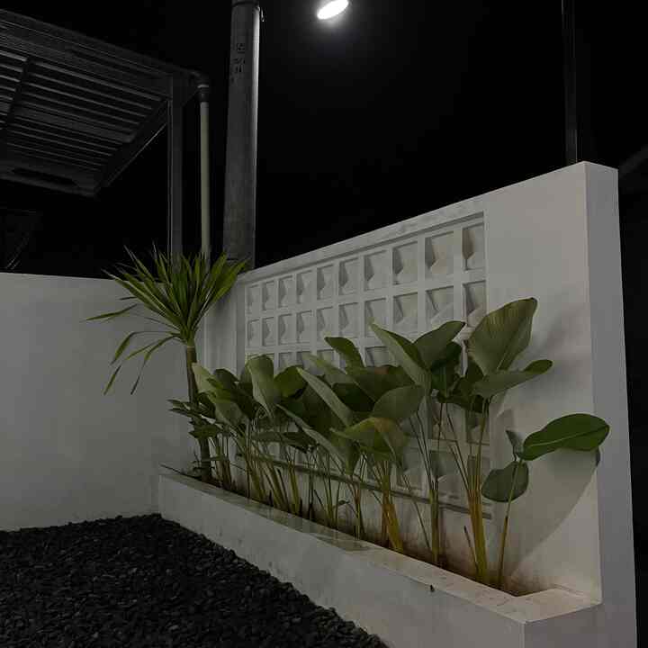 Suasana malam di taman kecil kami✨🌙🍃🌿

#CatEksterior
#InspirasiPagar
#InspirasiTaman
#TamanMinimalis
#IdeTanaman
#NomorRumahMinimalis