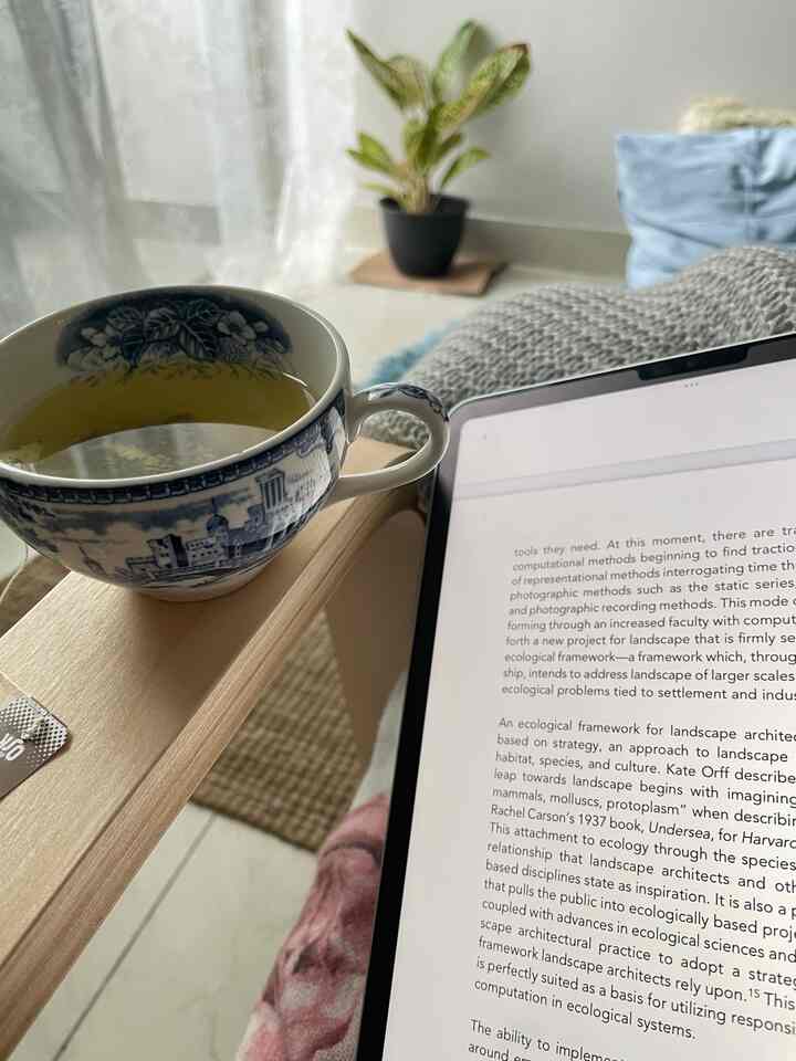 #tea #reading #cozysunday #readingcorner #mindfullness

My cozy seating corner is a personal haven—a perfect spot for journaling, reading, and unwinding