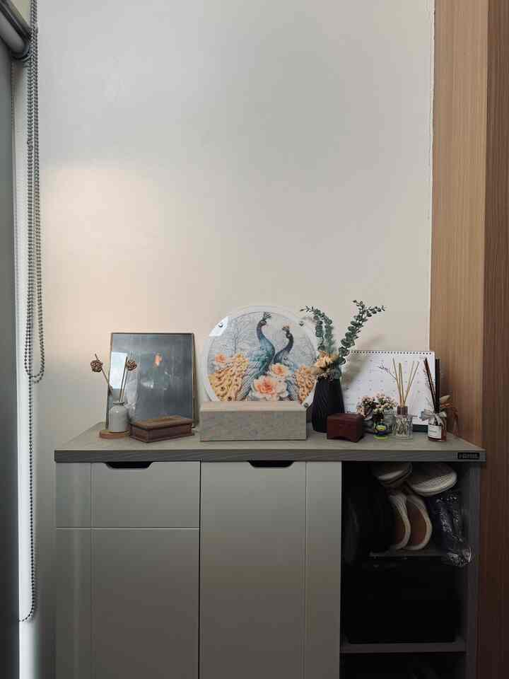 Ivory-toned wall and wood-tone door frame in entrance space featuring mid-size storage cabinet with diffuser and decorative items, creating a neat atmosphere