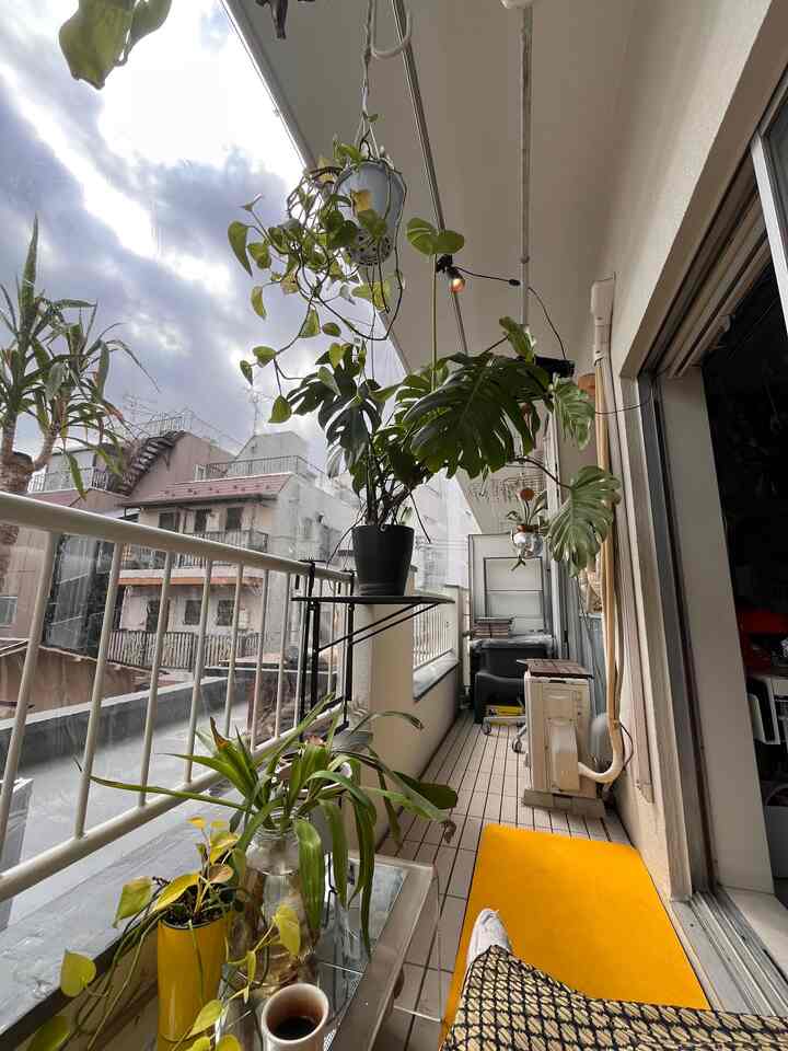 #バルコニー #春 #観葉植物 #IKEA 