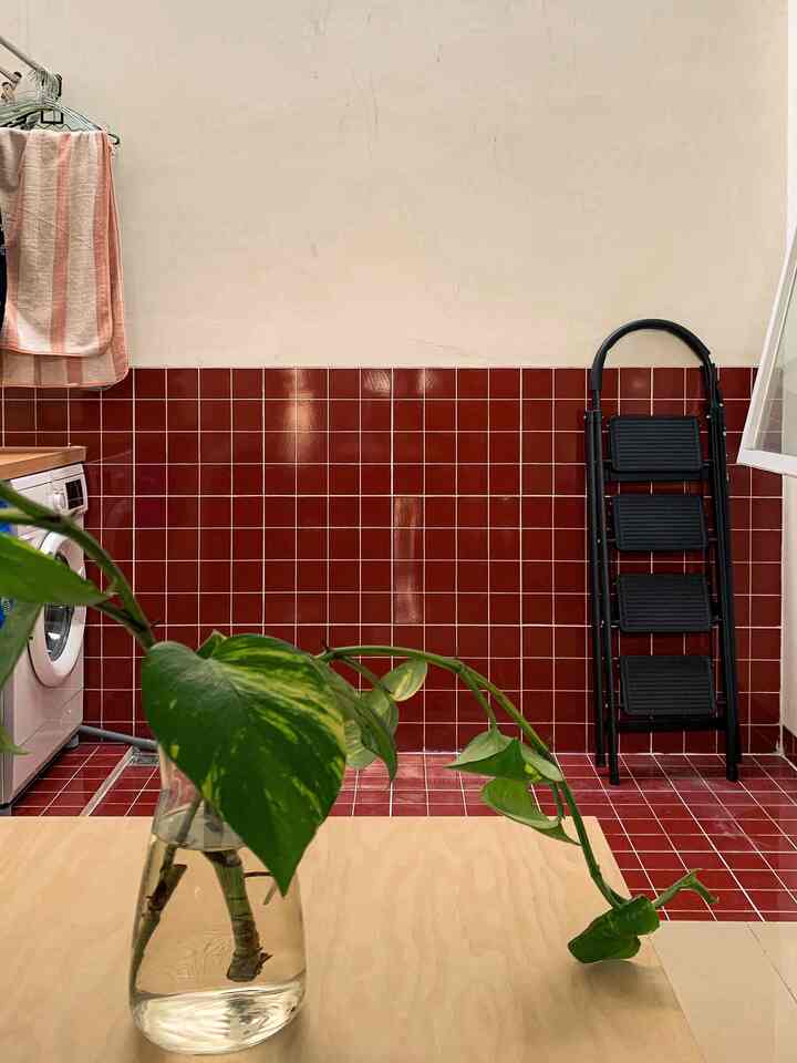 Tempat paling fungsional yang tak lupa kami dandani—
Laundry area ini kami tata bukan sekadar tempat mencuci,
tapi juga sudut yang menyatu dengan estetika rumah kami.
Dipoles maroon yang hangat,
dipilih dengan hati agar tetap enak dipandang dari luar.
Setiap elemen ditempatkan dengan tujuan—
fungsional, efisien, dan tetap manis dilihat.
Karena bahkan ruang kecil pun pantas dirayakan keindahannya.

#RuanganTerbatas #RumahCompact #RumahMungil #NeverToSmall #LaundryArea #Keramikprecut #MesinCuci #JemuranDinding #KantongCuci #TanggaLipat #OpenSpace