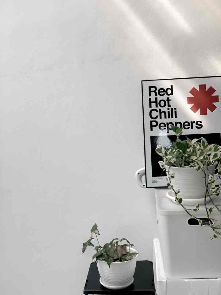 Memberikan perpaduan tanaman dan wall decor minimalist di area kitchen agar menambahkan kesan yg playful dan asri. Terutama diantara bagian ini sekaligus menyambung ke area service room #littleourstory #kitchen #serviceare #laundryroom #diningroom #tanamanhias #sirihgading