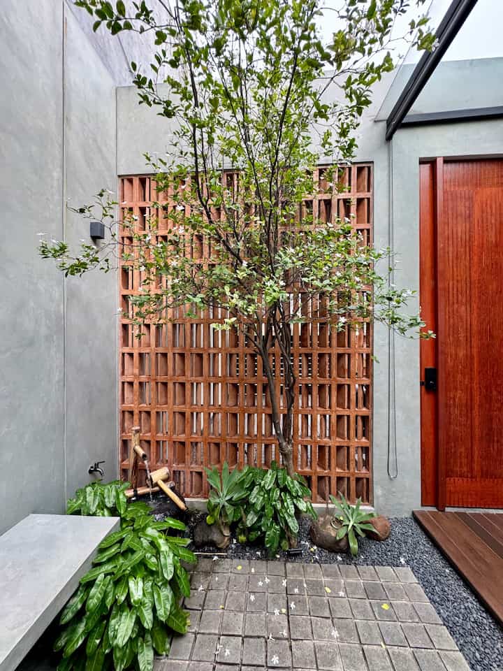 Kalau lagi hujan, taman samping jadi makin sejuk. Setiap tetes hujan jadi berkilau. Menikmati keindahan dan ketenangan yang hanya bisa diberikan oleh hujan. 🌧️🌿

#sideyard #tamansamping #inspirasitaman