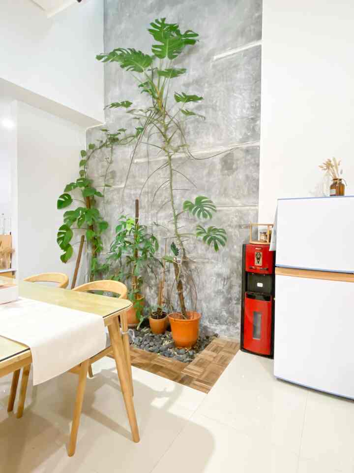 ✨ Dari awal bangun rumah, area 3x4 meter ini memang udah direncanain khusus buat jadi ruang multifungsi.
Bukan sisa lahan, tapi sengaja didesain biar bisa jadi dapur kecil, area makan, dan spot hijau dalam rumah 🌿

Pilihan warna putih dan elemen kayu sengaja dipilih supaya tampilannya tetap terang, bersih, dan hangat.
Dinding bagian samping dikasih taman kecil dengan tanaman rambat biar tetap ada nuansa adem meski di dalam rumah 🌱
Batu koral dan lantai kayu jadi kombinasi pas biar tetap ada kesan natural.

Meja makan ramping ditempatkan dekat dapur untuk efisiensi — tapi tetap nyaman buat makan bareng keluarga kecil.
Simple, tapi jadi spot yang paling sering dipakai dan bikin rumah berasa hidup 🫶🏻
#tamansamping #lahanterbatas #roster #kursiputih #tanamanhijau #monstera