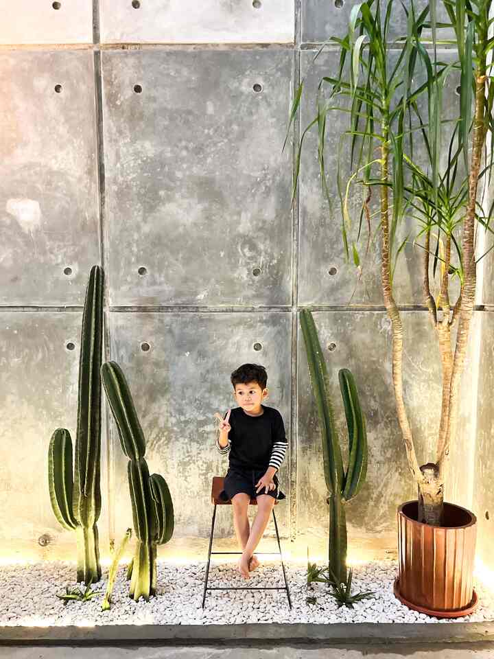 Taman kering minimalis di dalam rumah 🏡
#tamanindoor #tamankering #kaktuskoboi #tamanminimalis #tamankaktus #tamandalamrumah #tamanhias #pandanbali #tamaninspo #tamanmimalis