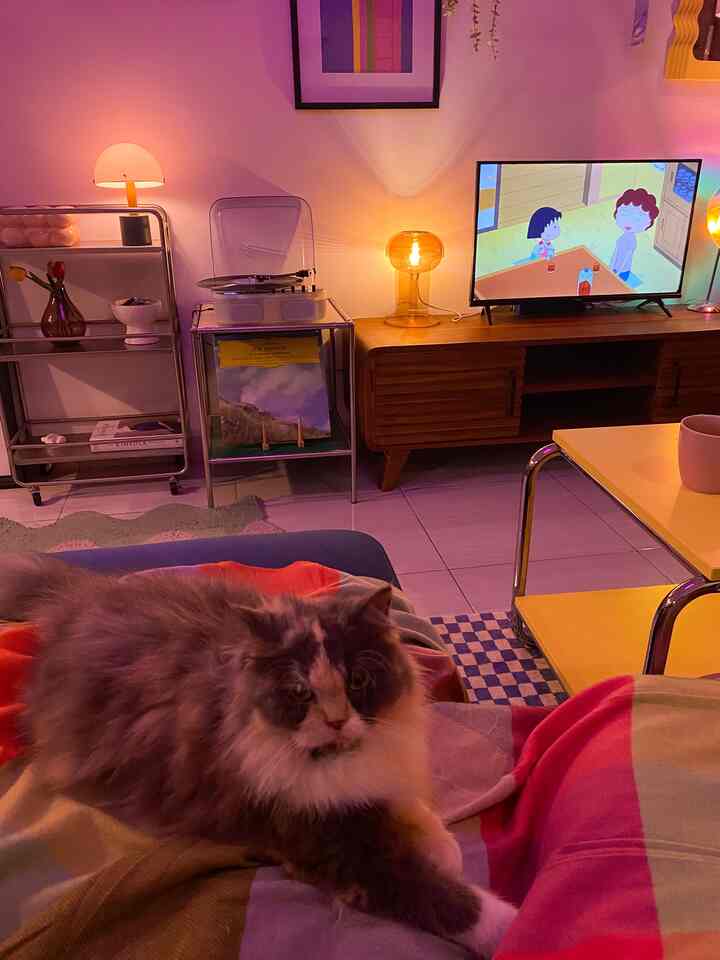 Living room with pink-purple lighting and warm brown furniture, featuring a cat resting on a blanket on the sofa, creating a cozy atmosphere