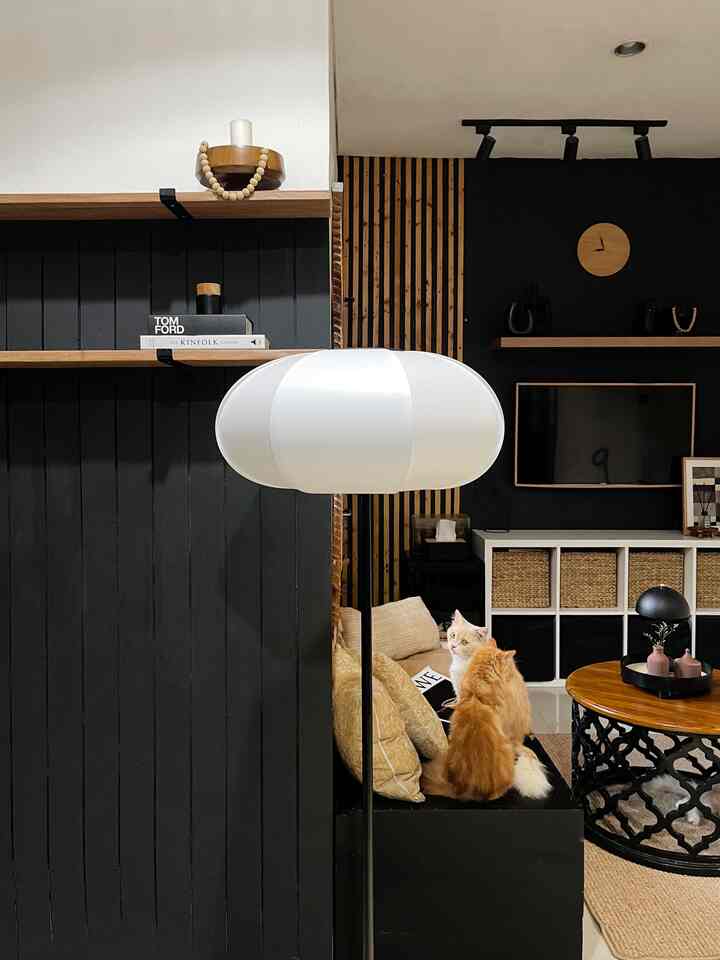 A black and brown toned living room featuring a sofa, coffee table, and two cats creating a cozy atmosphere