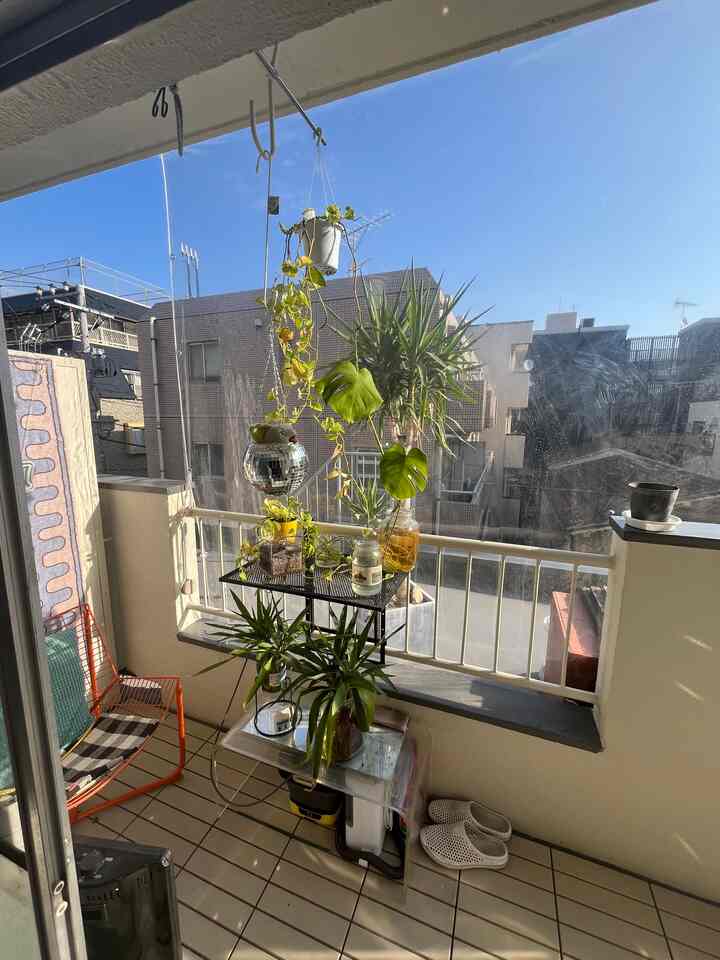 さぶあかです。
秋冬は採光時間が少ないので早起きになります。ミラーボールで賑やかしてます。

#ワンルーム #賃貸インテリア #観葉植物 #バルコニー #ミラーボール #リノベーション #diy #cozy 