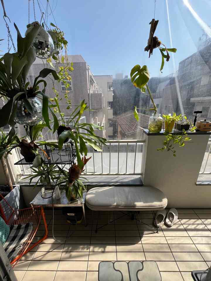 さぶあかです。よく晴れた日曜日でしたね。

#バルコニー #観葉植物 #リノベーション #diy #cozy 