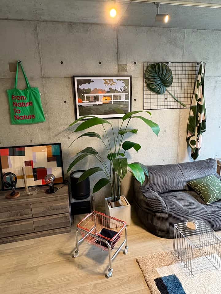 Gray concrete-wall 1K living room with natural-toned floor, featuring a bean bag sofa and large plant in a modern setting