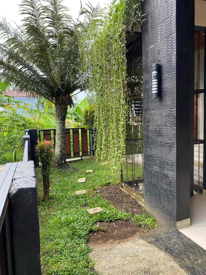 Rumah hadap barat dan tanaman Halaman rumah dengan segala genk ijonya, pohon palem dan mr lee kwan yew punya peran penting untuk menghalau panas mata hari terik ke dalam kamar.. 

#halaman 
#tamanbasah
#rumahhadapbarat
#rumahsederhana
#halamanrumahku