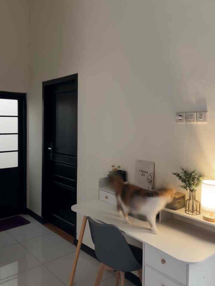 Sudut Kerja Minimalis —

Masih akan tumbuh lagi dengan dekorasi2 yang lebih cantik ala rumah harvi


#homeoffice #sudutkerja #mejakerja #Rumah #rumahminimalis