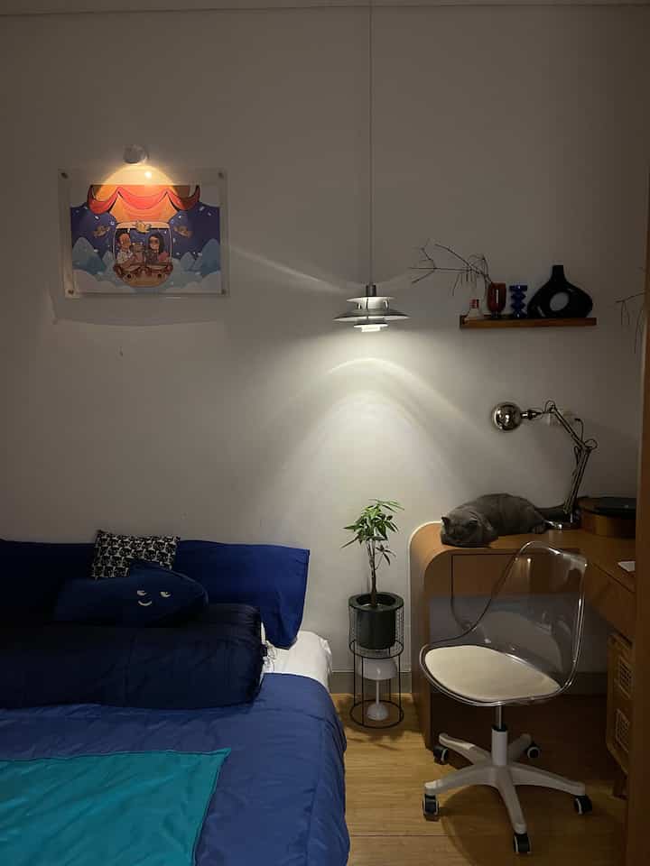 A cozy 6-tatami bedroom featuring navy bedding and natural wood furniture, blending a cat presence with a modern home office setup