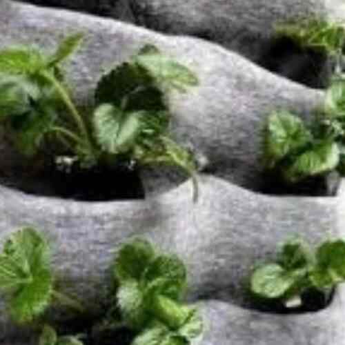 WALL PLANTER 36 KANTONG