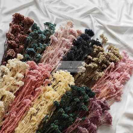 25 gr Preserved Rice Flower / Dried Flower Awetan / Bunga Kering