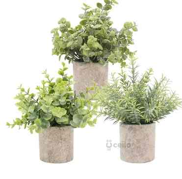 Tanaman Eucalyptus Artificial