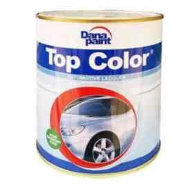 1Lt 222-2102 Chamonix Dana Paint Top Color Automotive