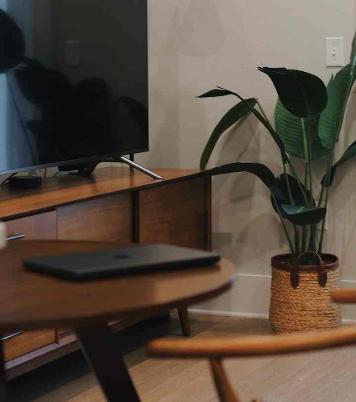 #livingroom #livingtoominterior #fauxplant