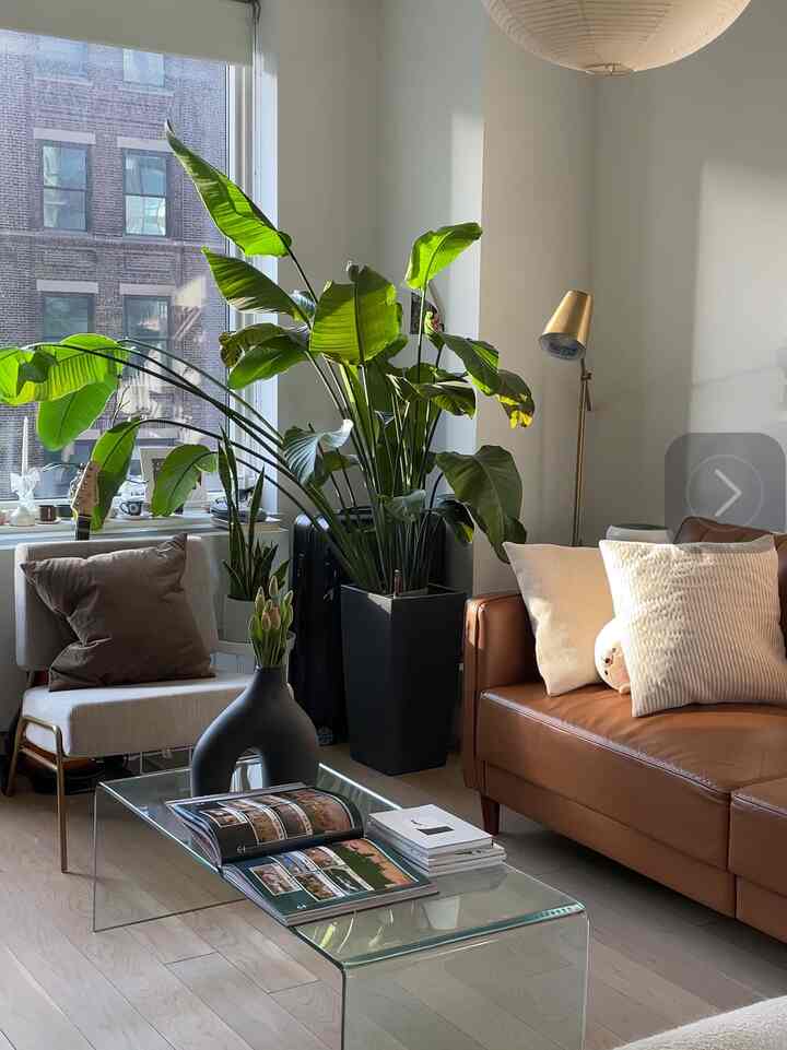 Mid-century modern living room with wood tone flooring and gold lighting, featuring a leather sofa and lush green plants in a cozy atmosphere