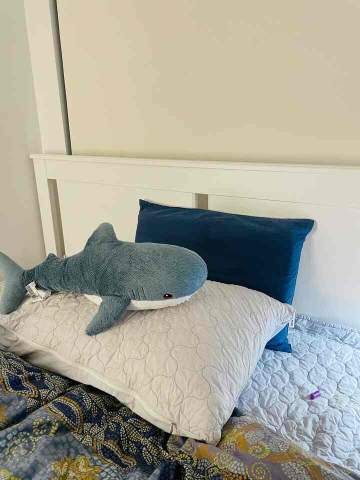 #ikea #shark #babyboo