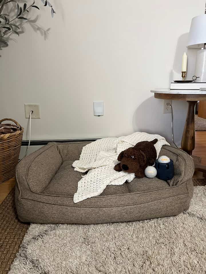 A cozy living room corner featuring a brown pet bed with an ivory knit throw blanket
