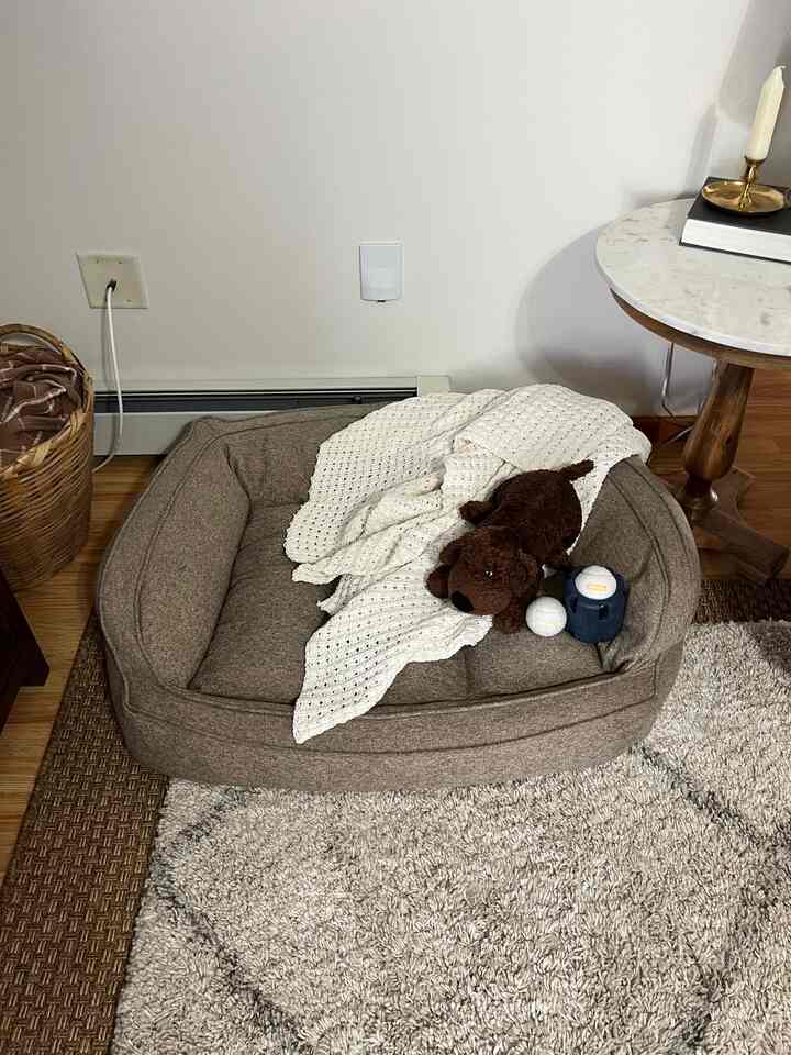 Cozy indoor space with natural wood-toned floor featuring a pet bed with toys and a knitted throw blanket