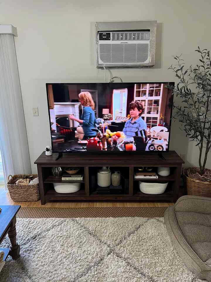 Brown-tone living room featuring a central TV stand, large rug, and a pet bed on the right with a cozy atmosphere