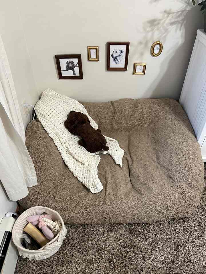 Beige and white toned bedroom corner featuring a cozy pet bed with a blanket and a basket of dog toys, creating a comfortable dog corner