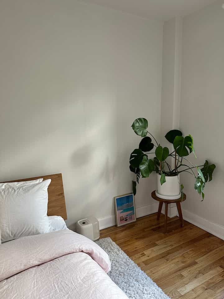 Favorite corner in my bedroom #moderneclectic #eclecticdecor #plant #houseplant 