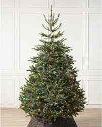 BH Nordmann Fir
