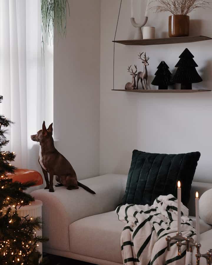 Christmas decorations & milo 🐶


#livingroom #livingroominterior #livingroomdecoration #cushion #blanket #fabricsofa #shelfinterior #shelf #shelfdecoration #papertree #Christmasprops #christmasdeco #christmastree #lightinginterior #lighting #dog #vase #candle #candleholder #curtainstyling 
