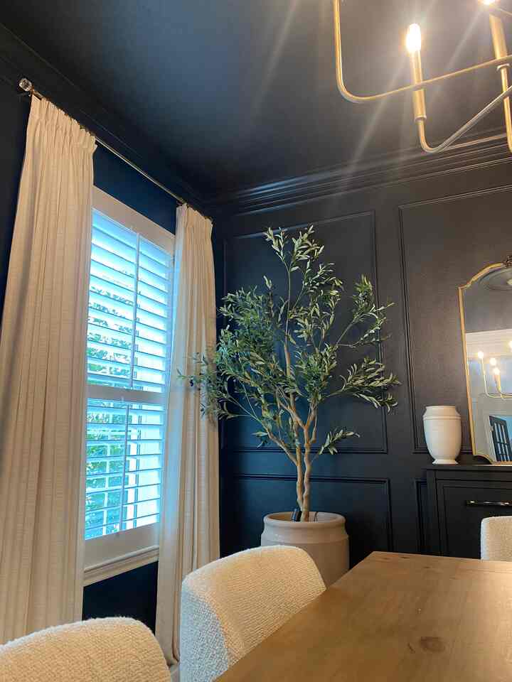 Color drenched dining room! Color is tricorn black #diningroom #moodydiningroom 