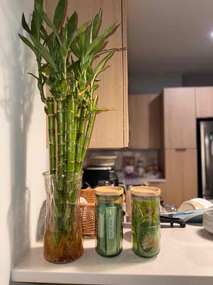 Natural-toned kitchen featuring glass vase with bamboo and glass jars on a clean snack corner countertop