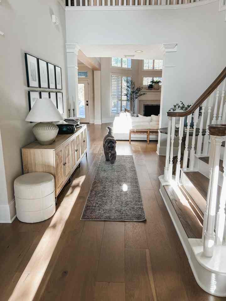 Wood-tone flooring in a beige-toned entrance space featuring a dog walking on a central runner rug in a natural style decor