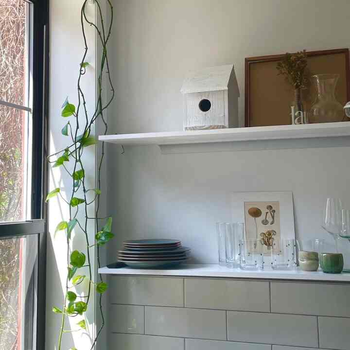 One of the first pictures I took of my kitchen, also one of my favorite. More coming soon ✨
#kitchen #biophilichome #glassware #hangingplant #plants #Queens #NY