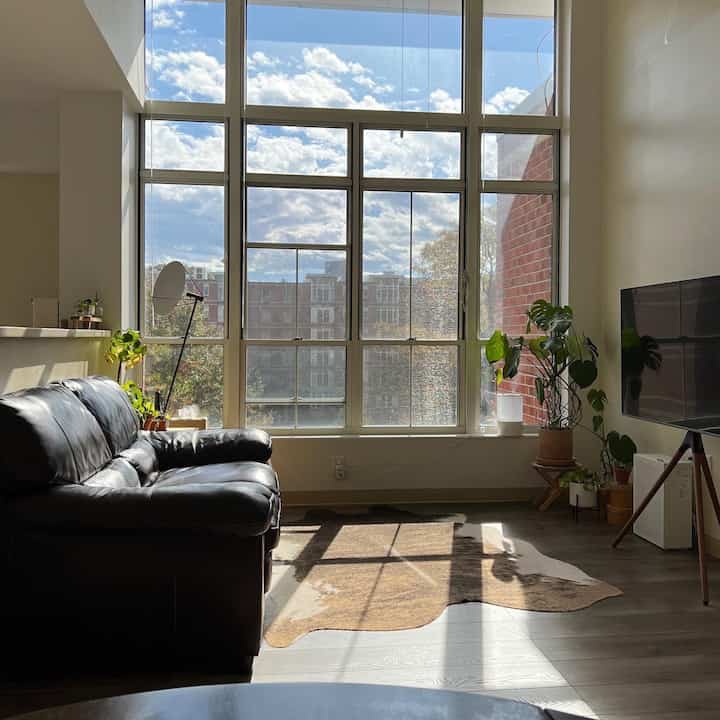 Our livingroom gets plenty of sunlight🌞 #midcentury #modern #livingroominterior #livingroom #plant #plantinterior #smallroom #cozylivingroom #cozy #rustic #ruginterior 