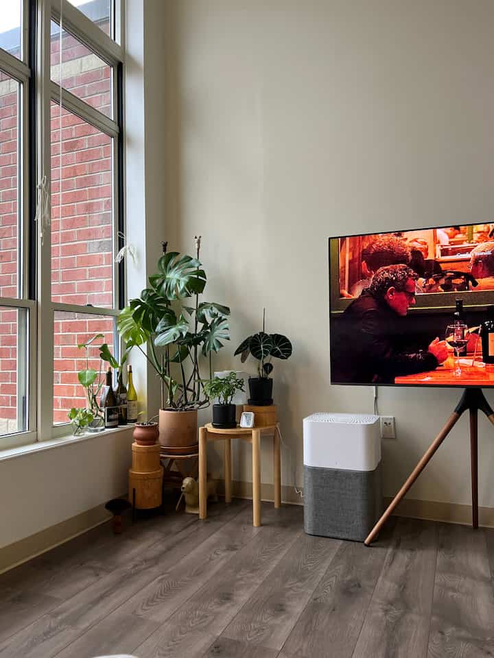 Tetap sederhana dengan furnitur jati dan kenari dengan sedikit warna hitam🍄‍🟫
#coklat #interior #simple #livingroom #walnut #teak #tveasel #tv #plant #Planterrier