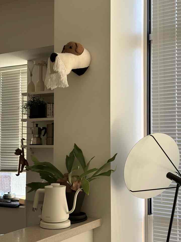 White wall interior ideas🤎
#walldecoration #minimal #stringsystem #balmuda #trophy #dog 