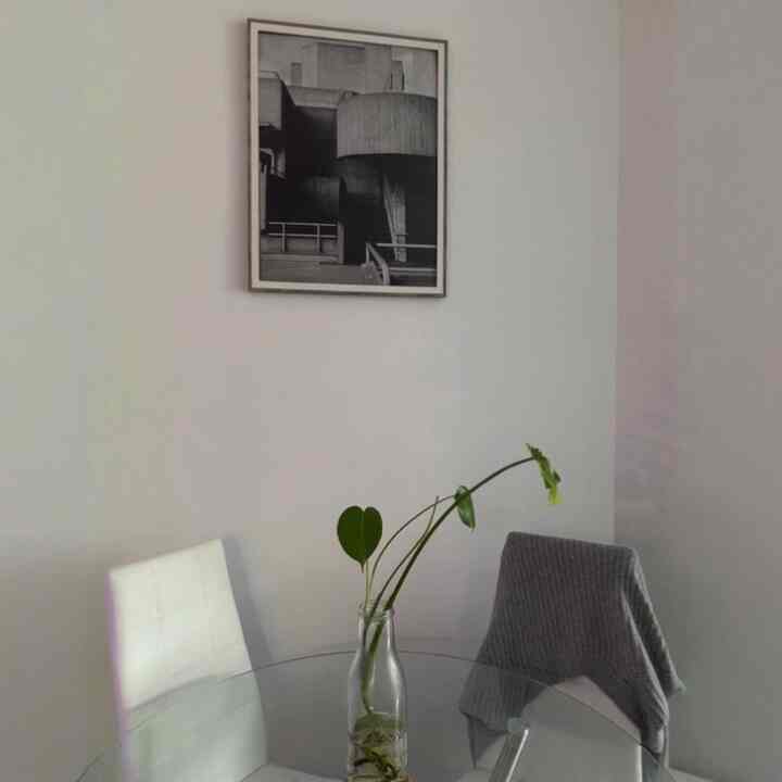 Gray day hues
#biophilichome #monstera #plants #glasstable #whitechairs #graytones #Wayfair
#monochrome #minimalism #brutalism #modern #Queens #NY
