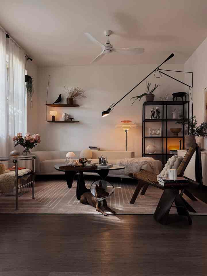 Beige and brown toned living room featuring a sofa and rug at center with a dog wearing a cone lying comfortably on floor, cozy mood