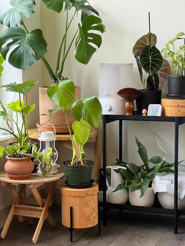 Plant stands for the plant nook🌿
#plantbutler #plantshelf #plant #plantinterior #stand #ikea #urbanoutfitters 